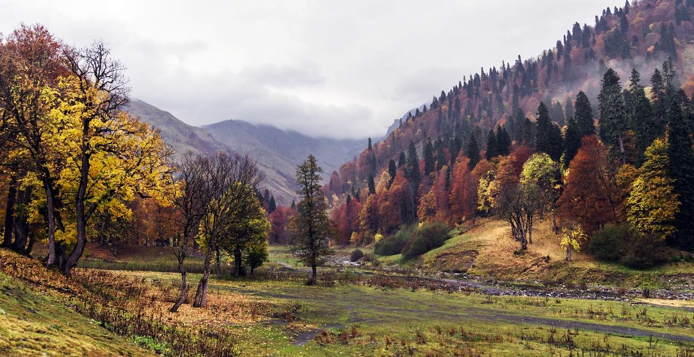 Хмурое утро...