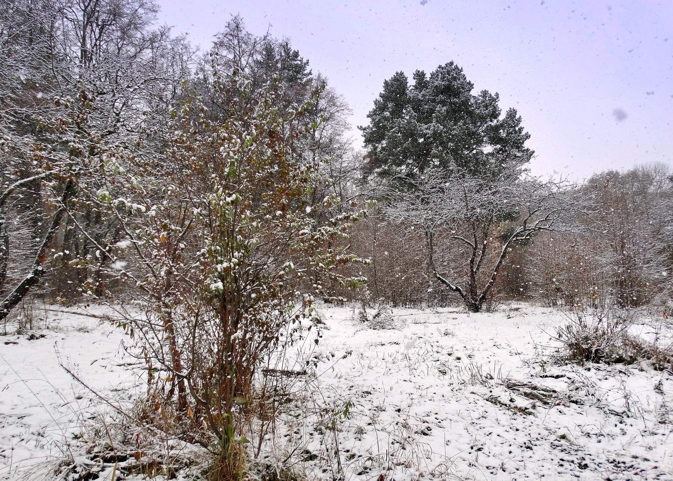 Снег кружится, летает и тает