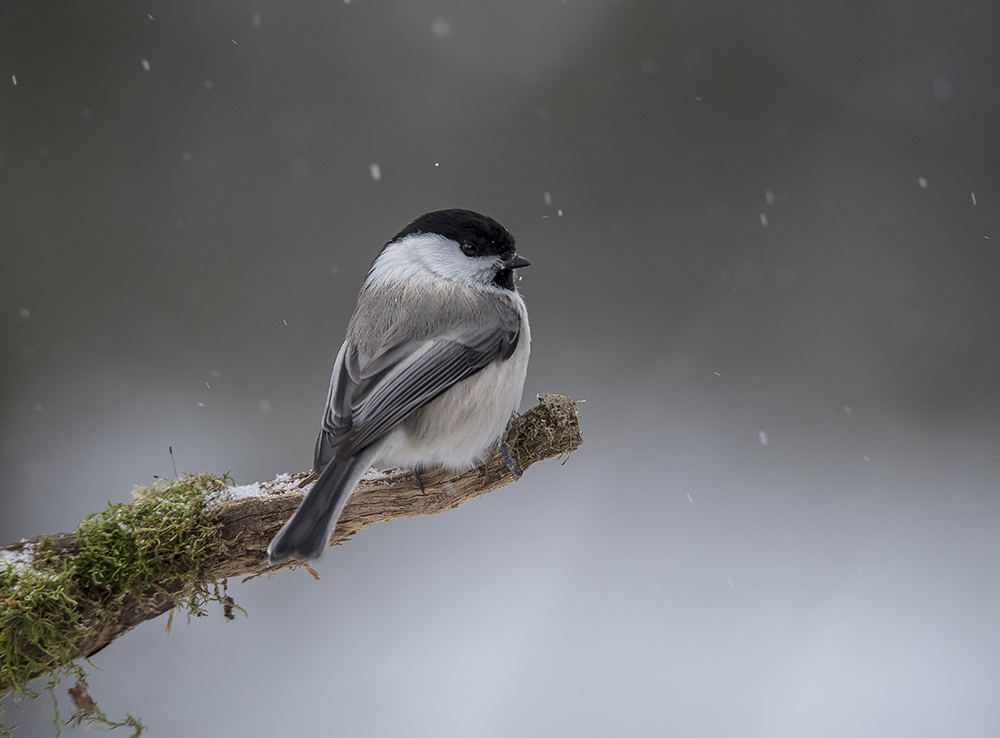 Некуда спешить