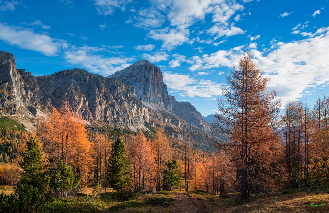 Краски осени