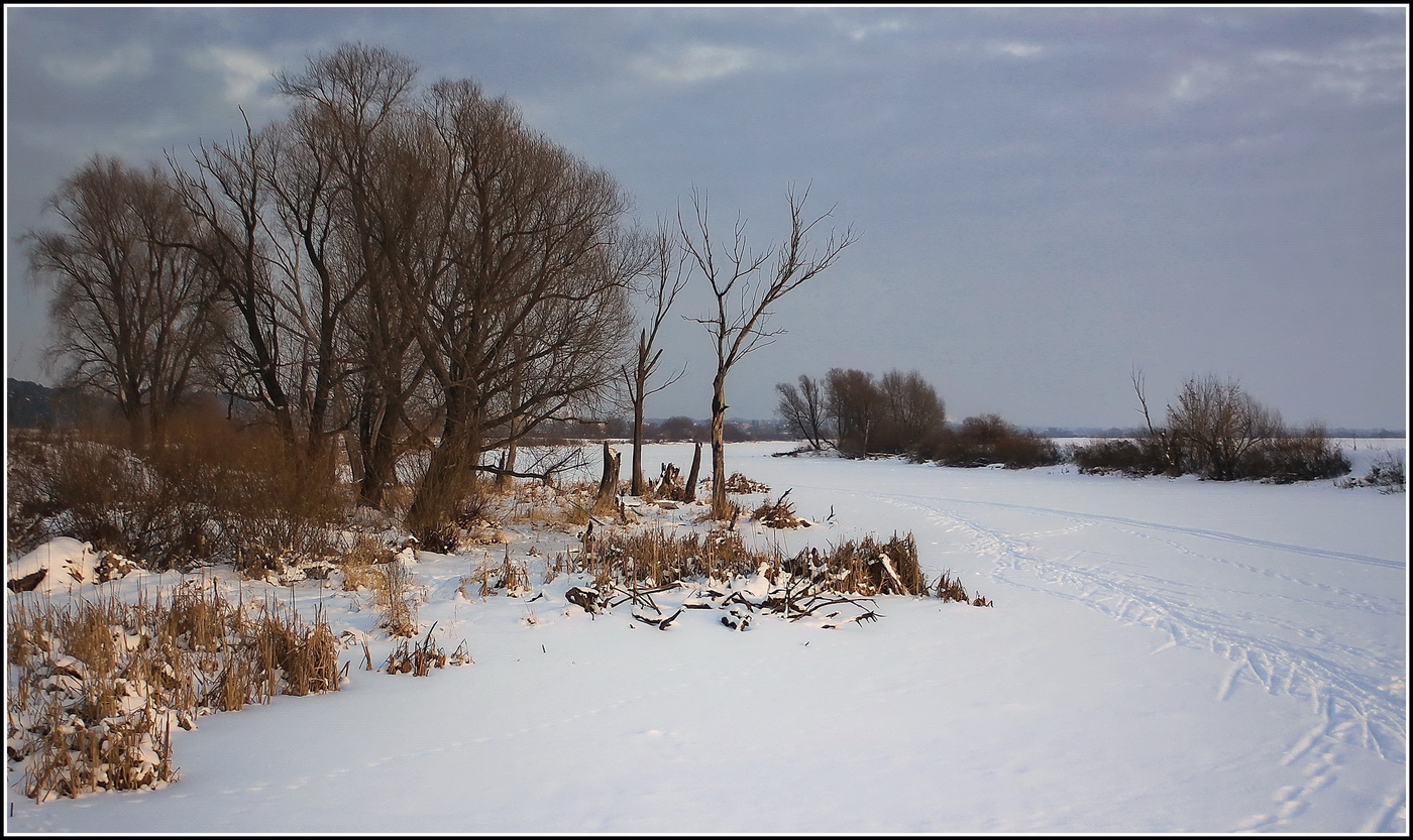 зимняя зарисовка