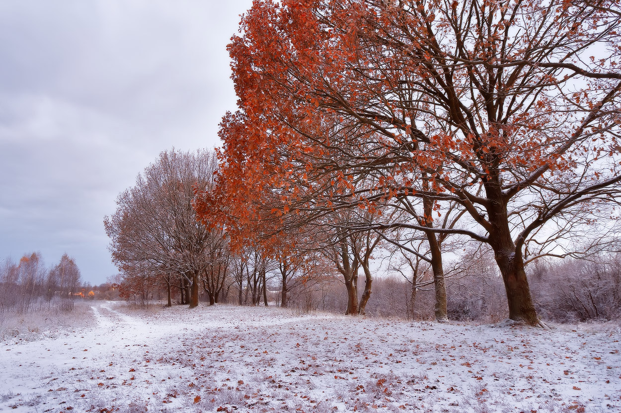 Ноябрь на Березине