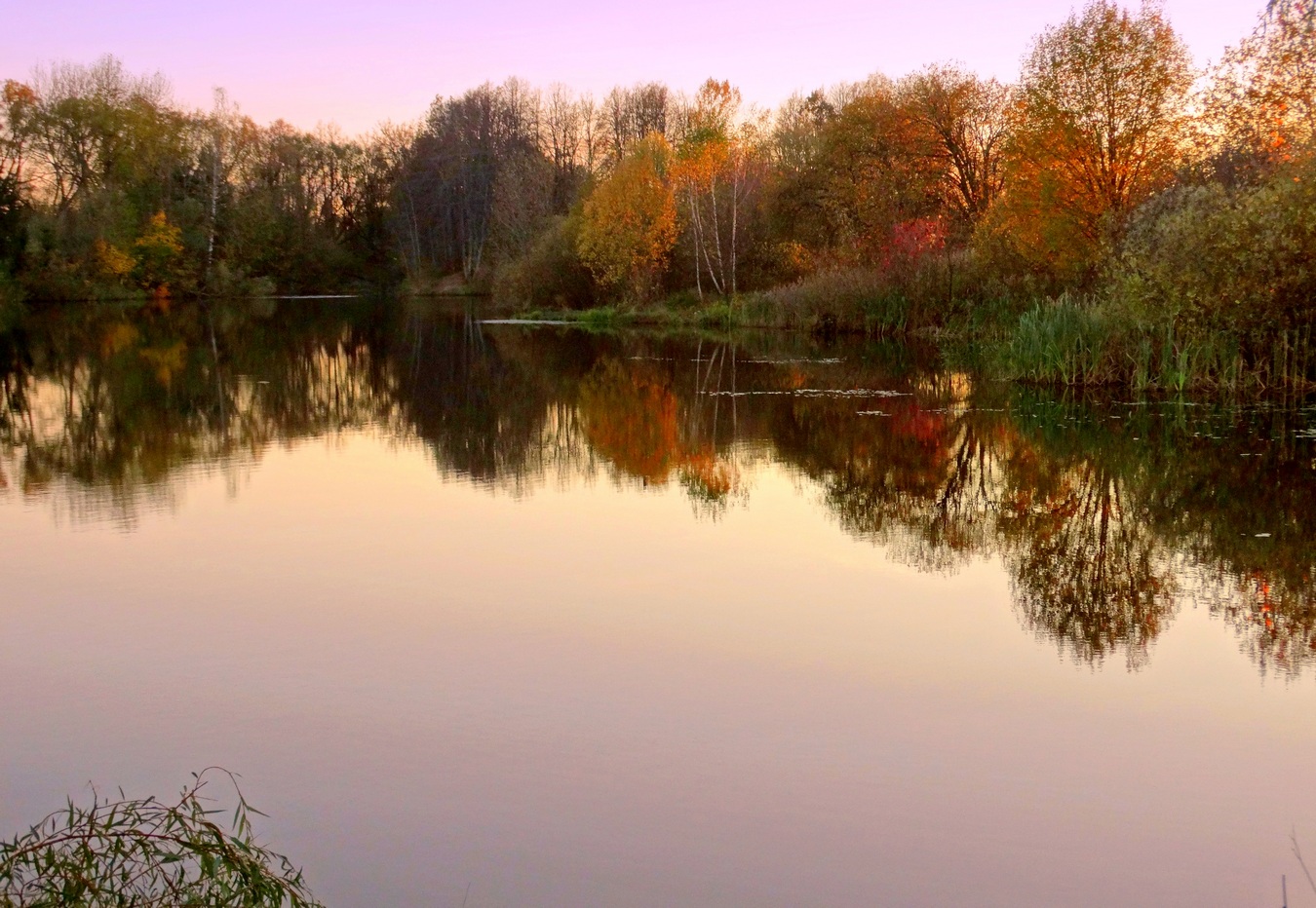 Заканчивается золотая осень