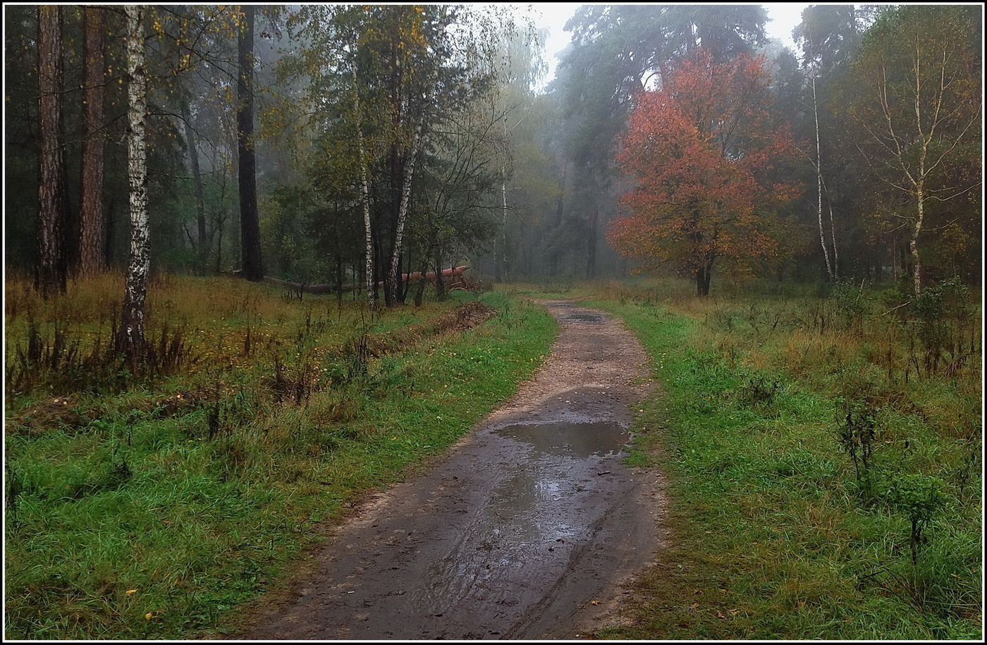 осеннее утро