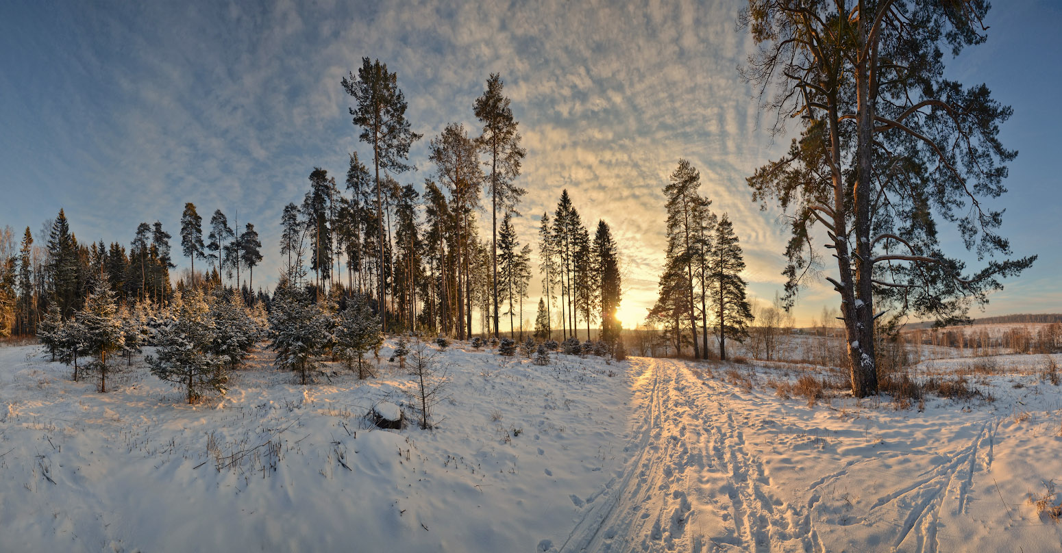 Январь в грумантовских "елочках"