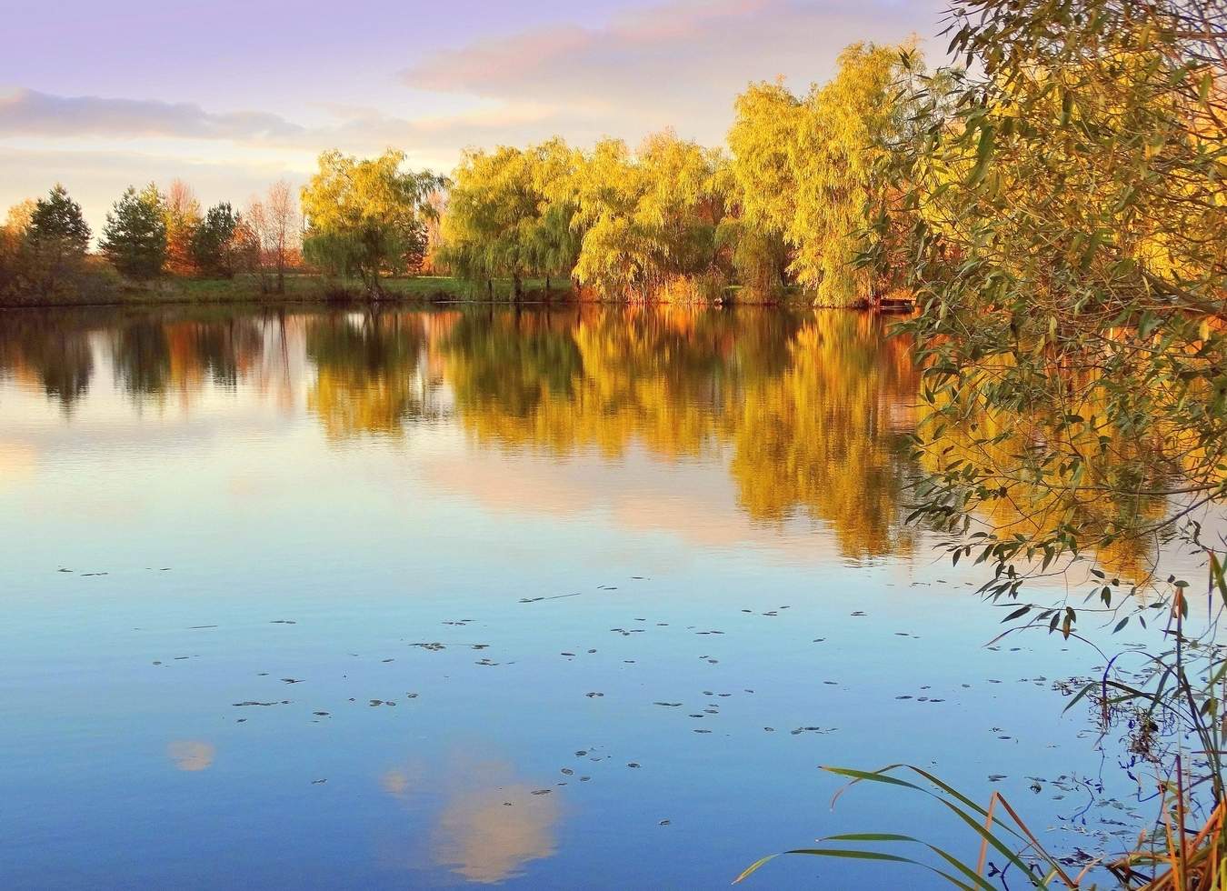 Расставание с осенью