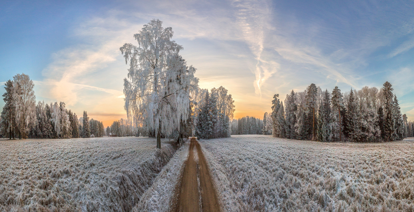 Прогулка по царству инея