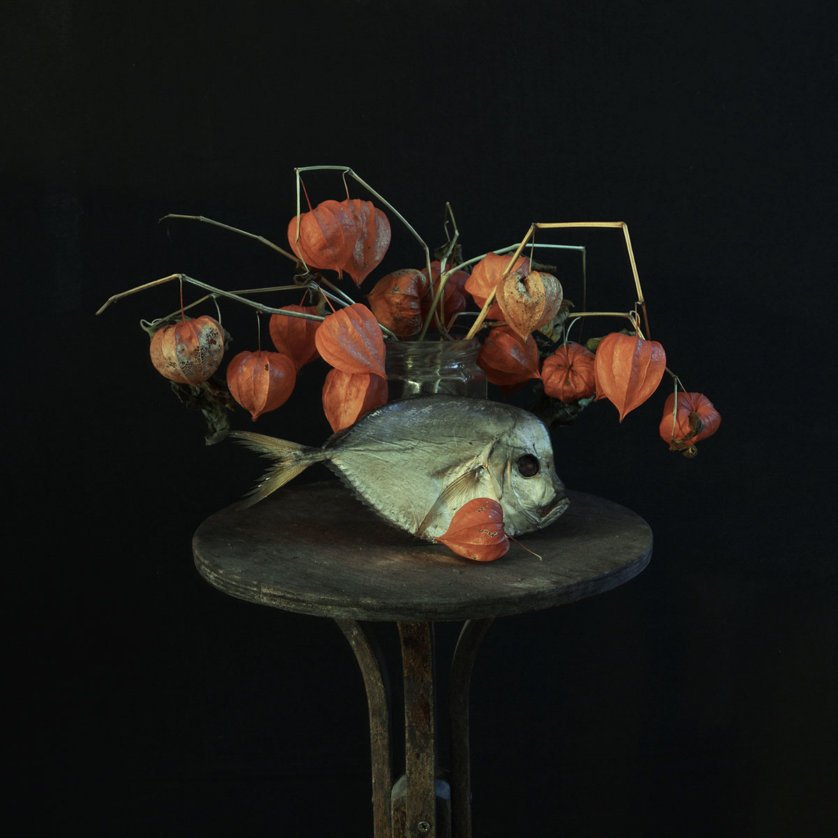 натюрморт с физалисом и вомером