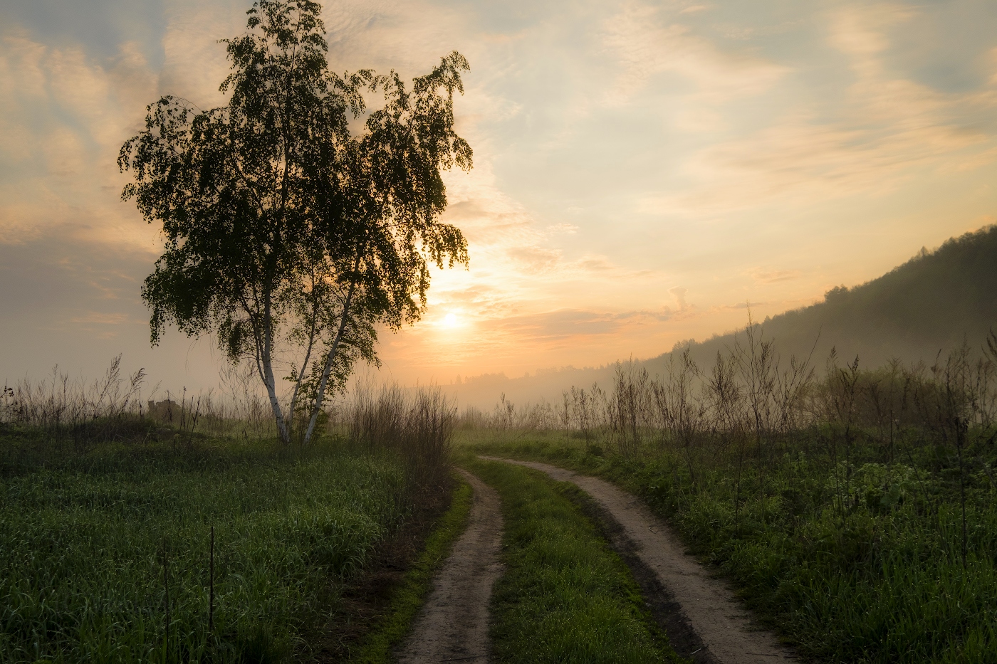 Навстречу солнцу