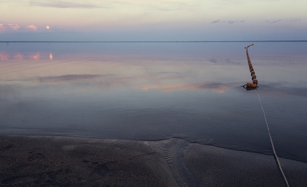 Отрывок лета