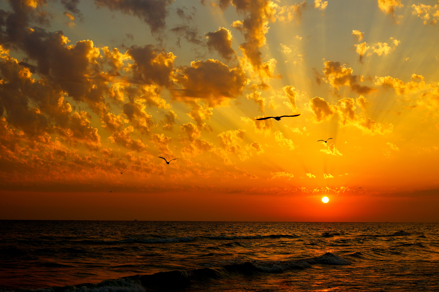 Морская болезнь