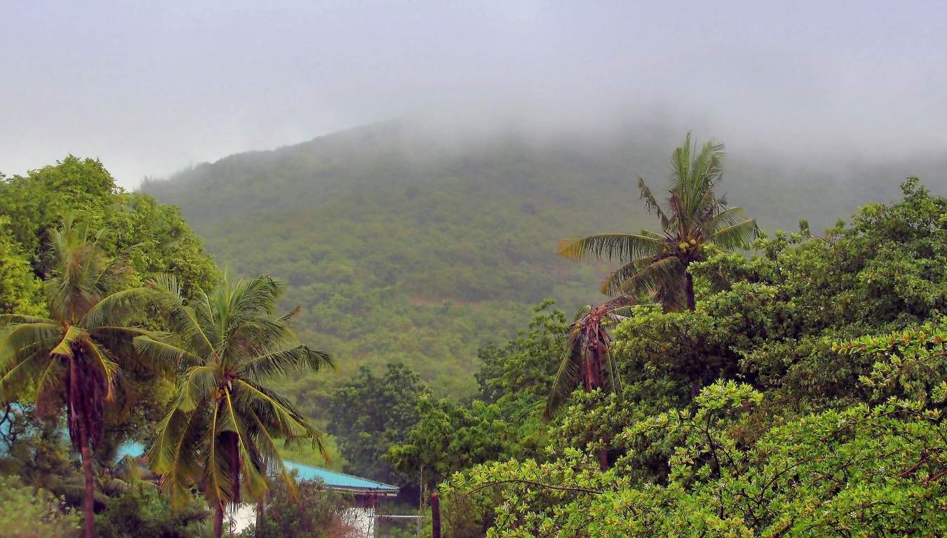 Туман сползает