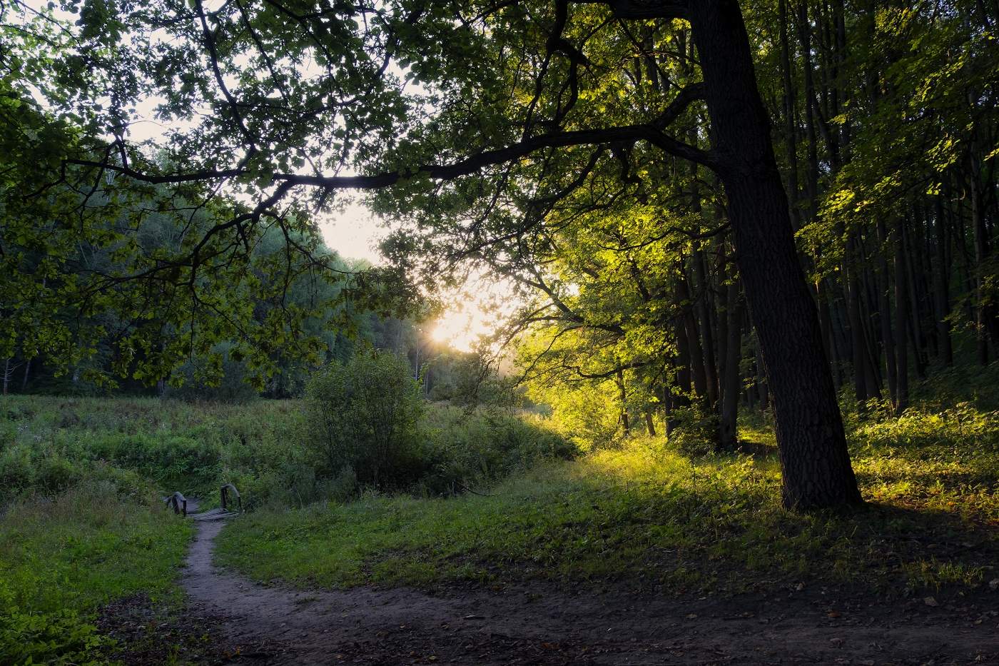 Тропинка к закату