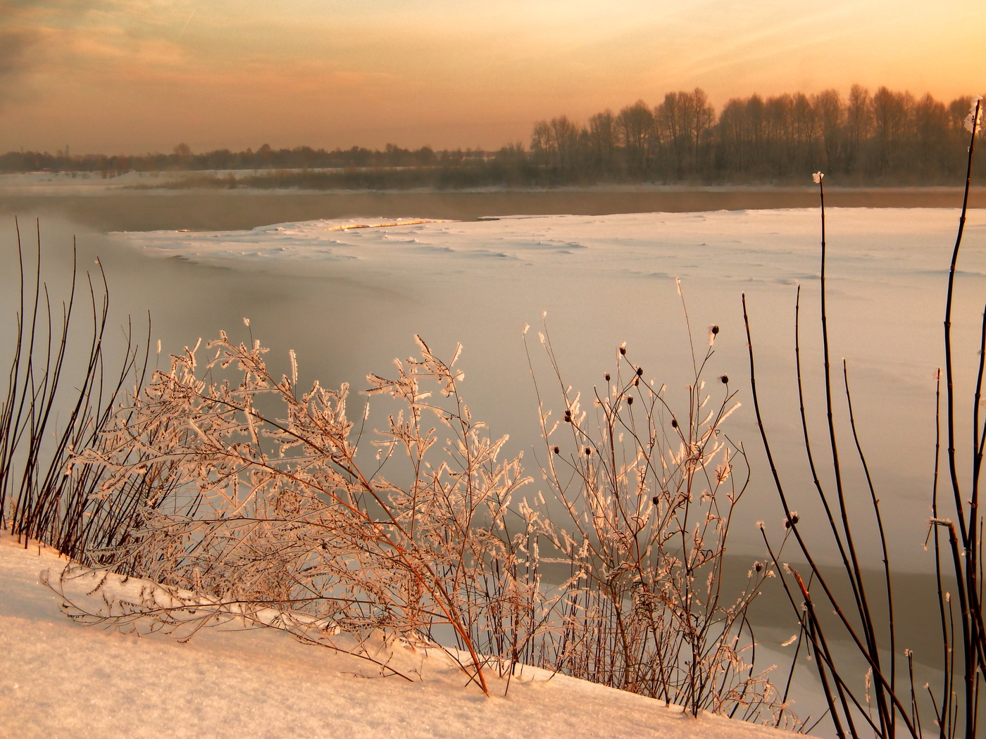 Мороз и солнце( и туман)