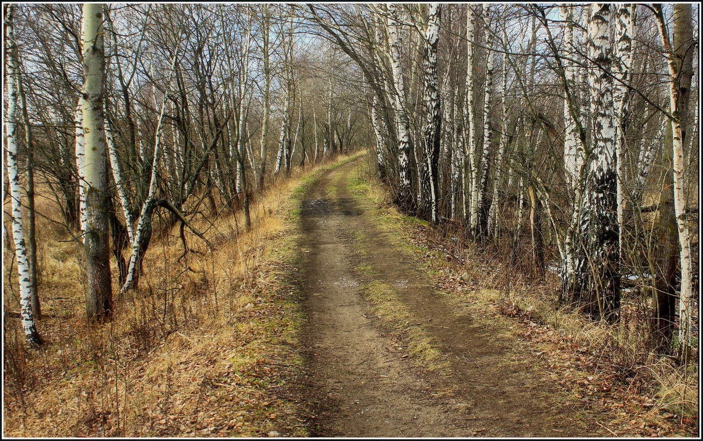 осенний мотив