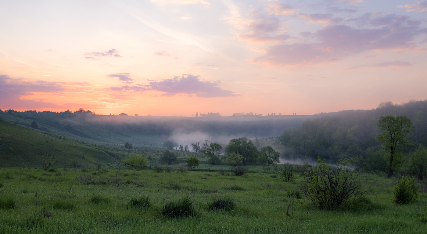 Рассветный туман