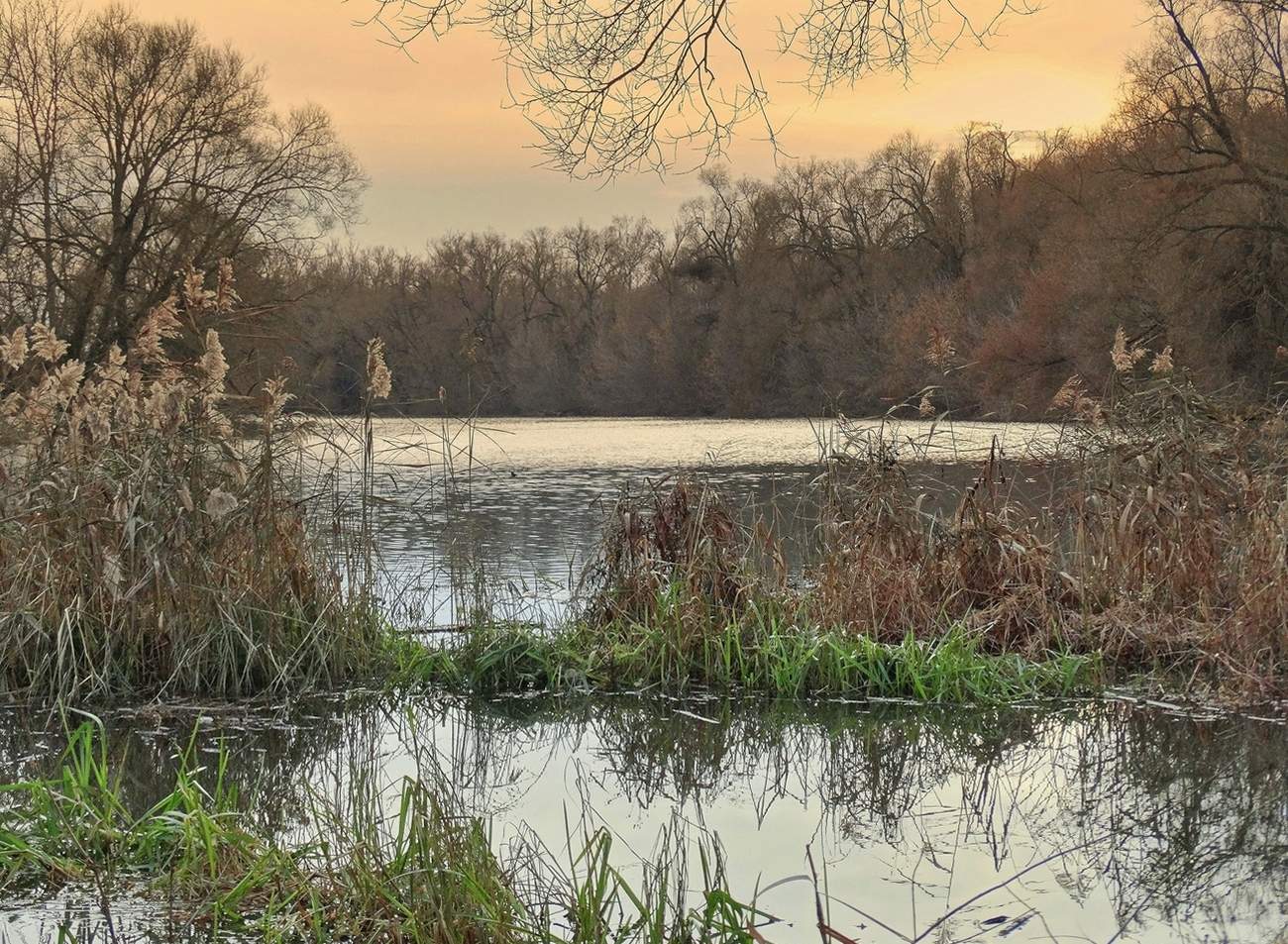 Ноябрьские вечерние краски