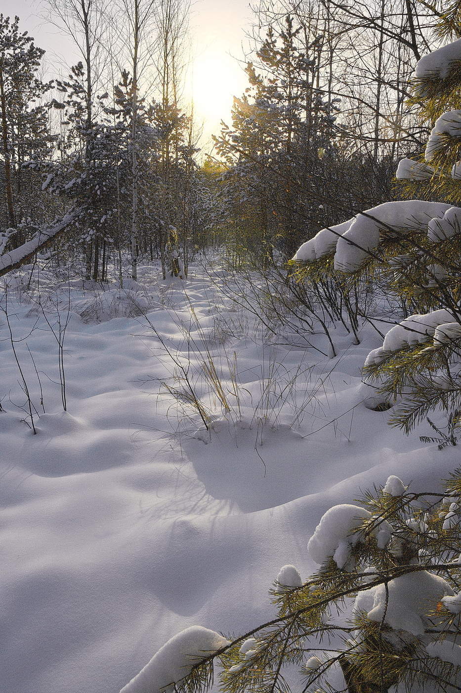 ЗИМНИМ ПОЛДНЕМ.