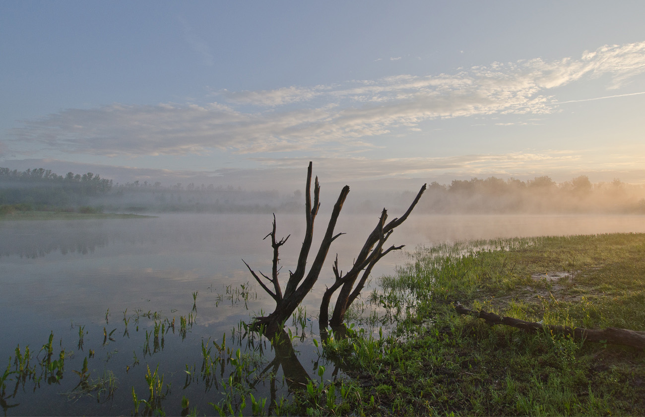 Редеют бледные туманы