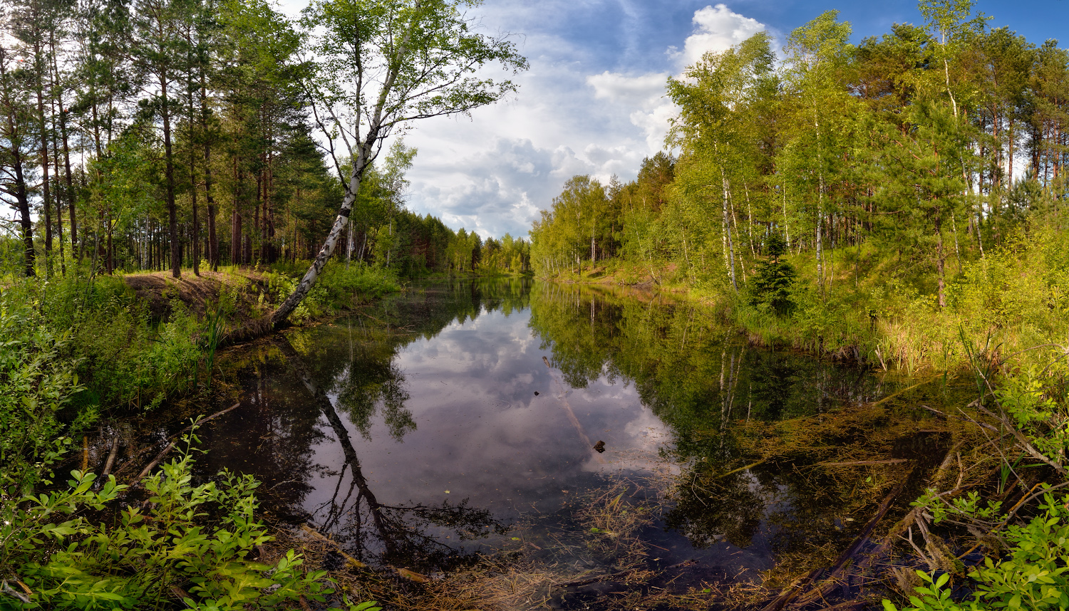 Лесное озеро