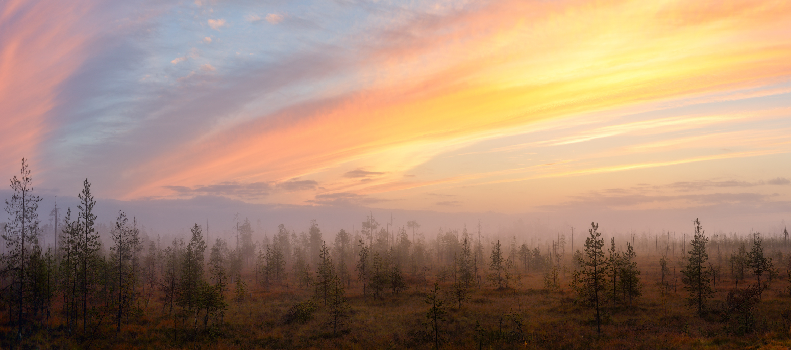 Карельским утром