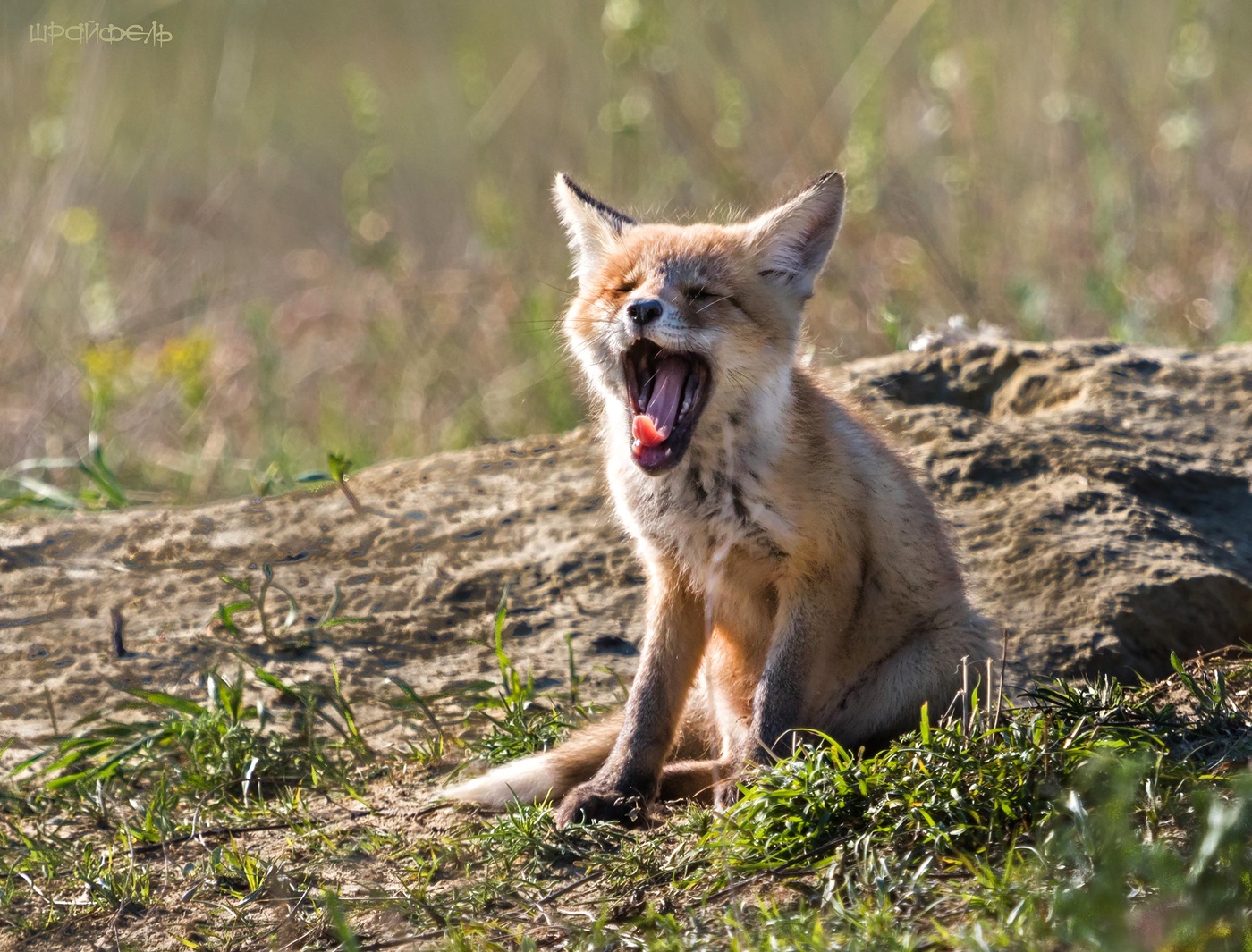 Эх... не выспался!