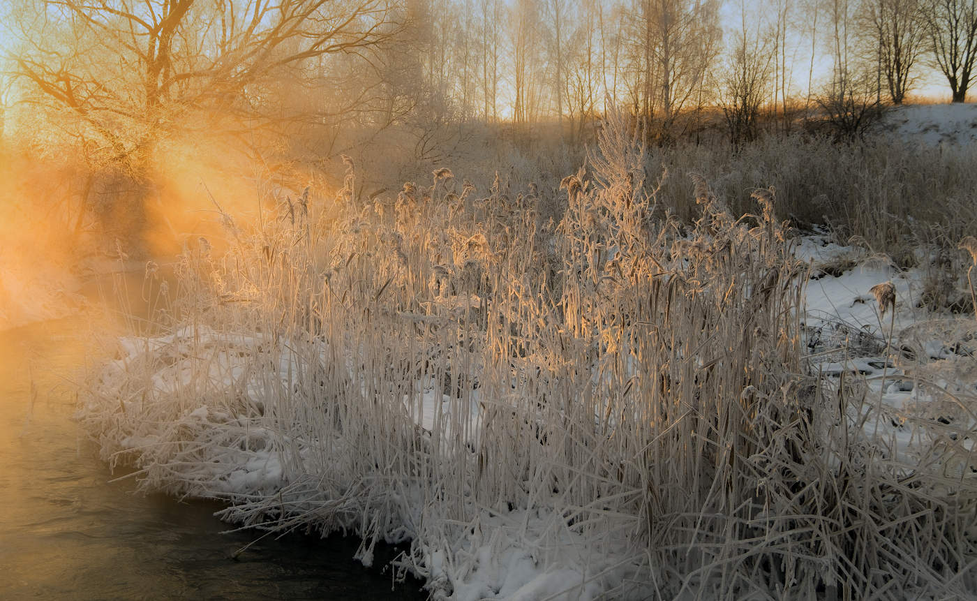 Луч света золотой