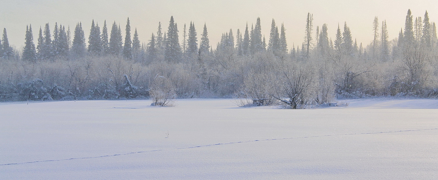 МОРОЗНЫМ ДНЕМ