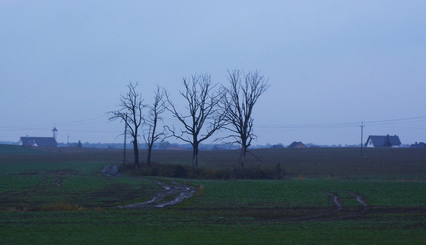 Островок в поле ...