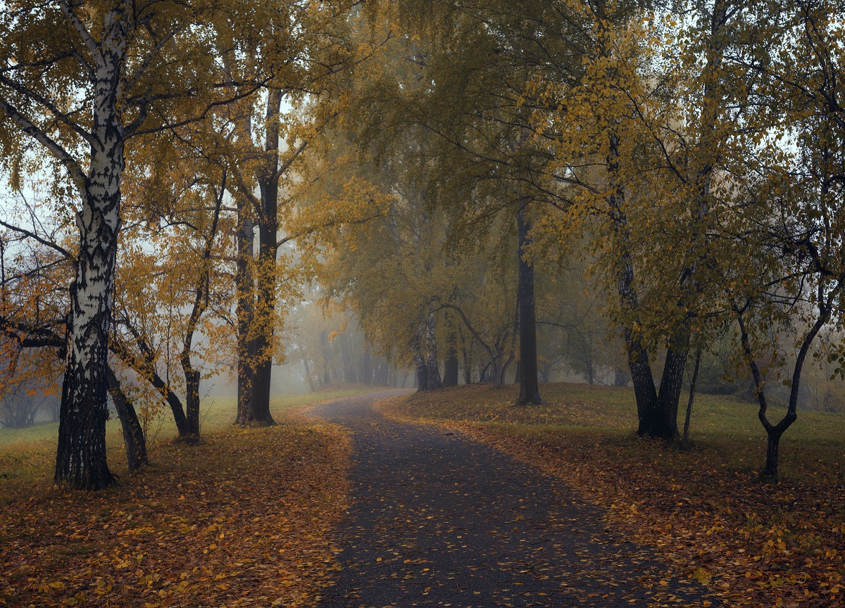Осень в парке.