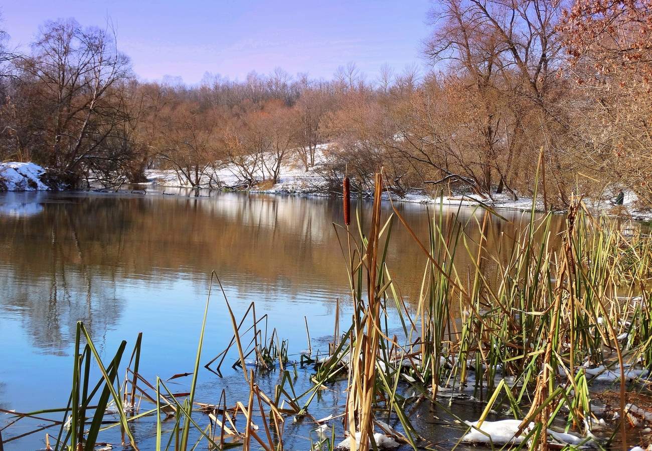 Ясный день ноября