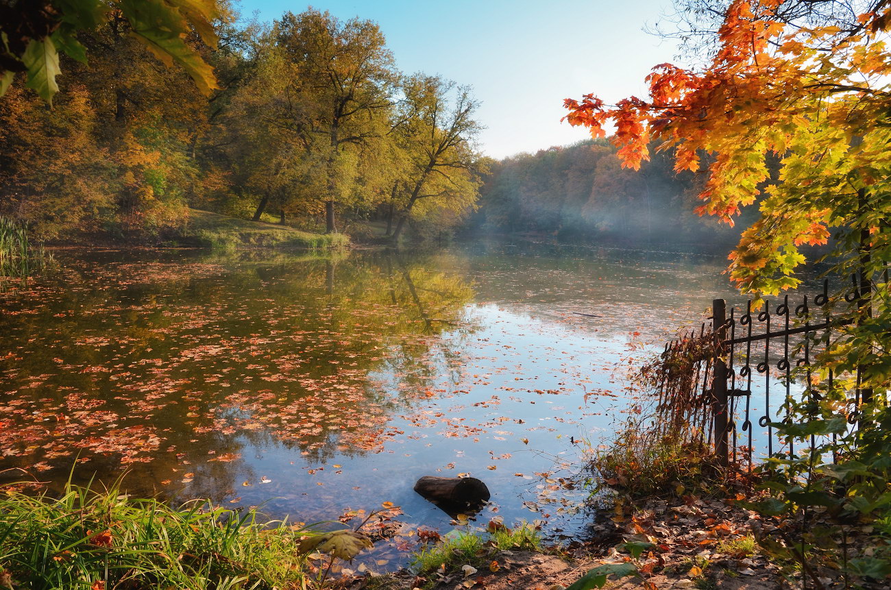 Осень в Платоновском парке