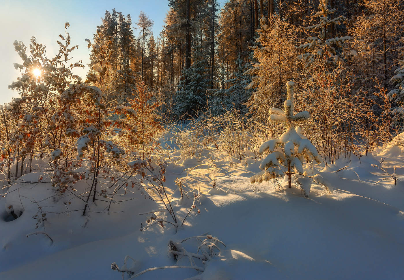 Ноябрьский полдень