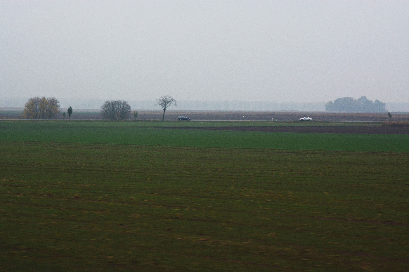 Случайная встреча на утреннем шоссе...