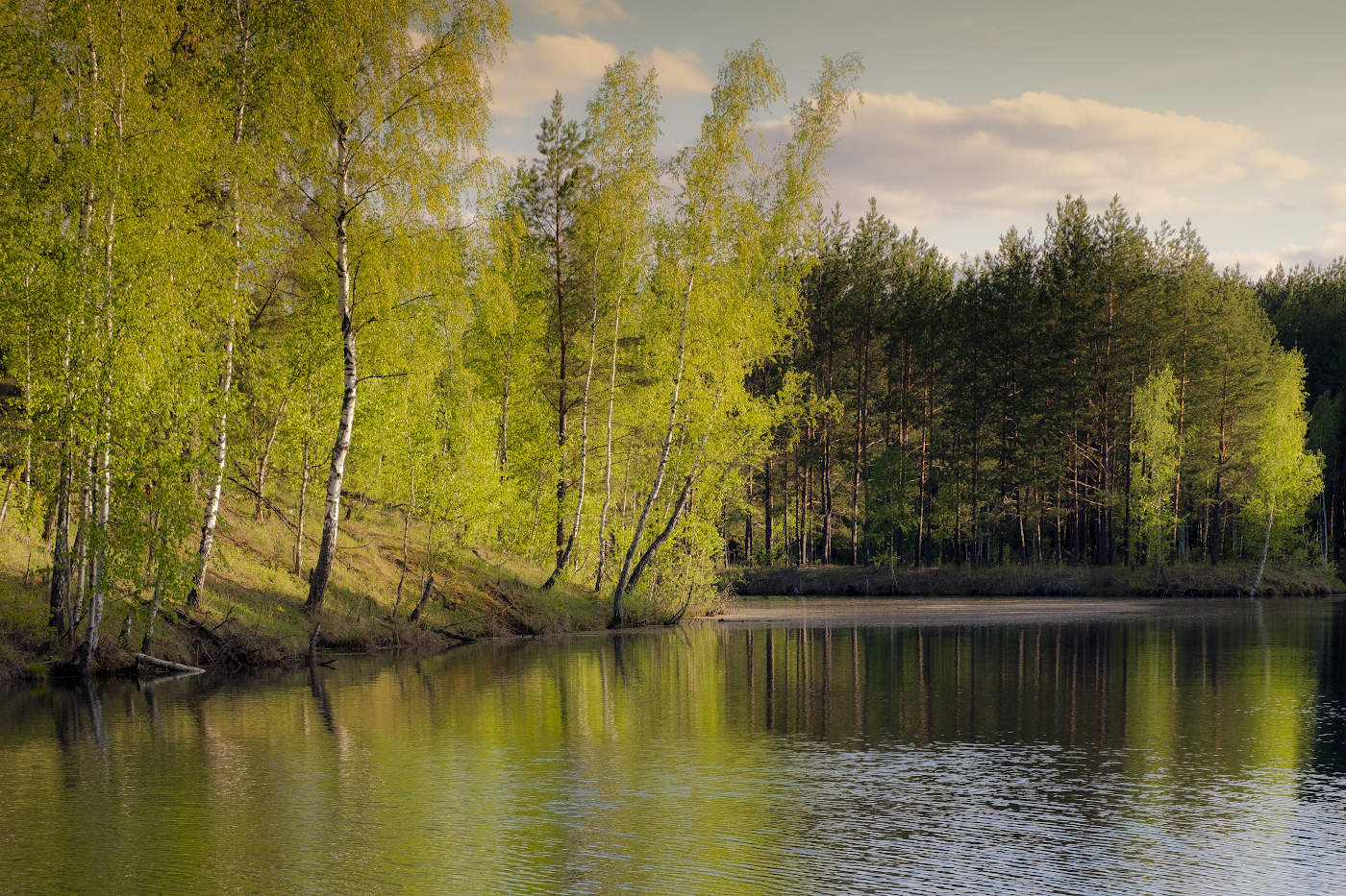 Вечерний свет на озере