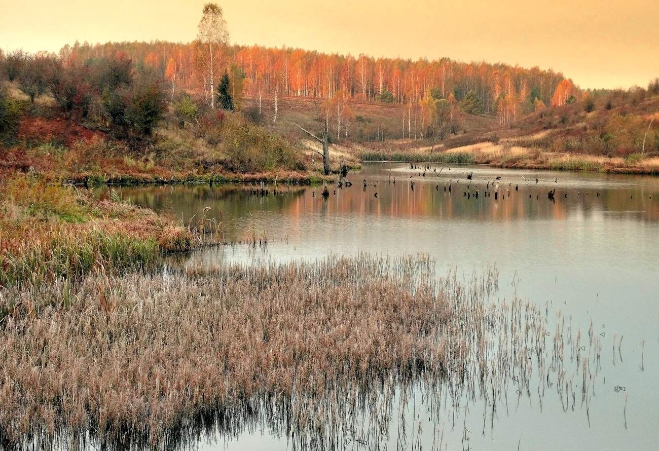 На восходе солнца