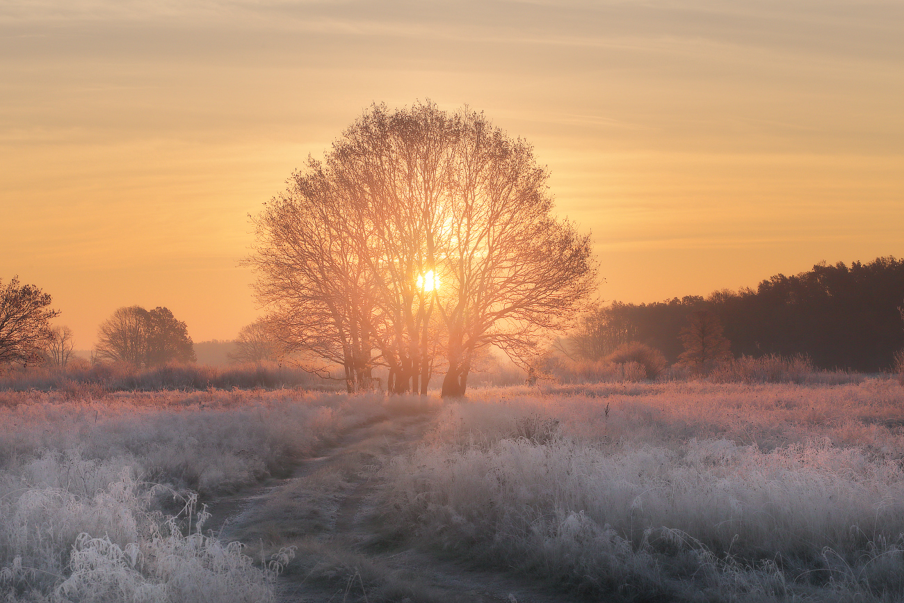 Рассветная