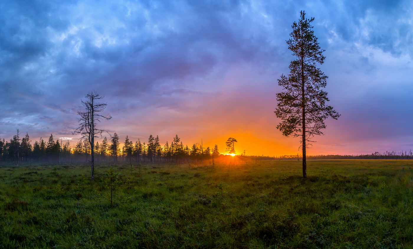Остался один