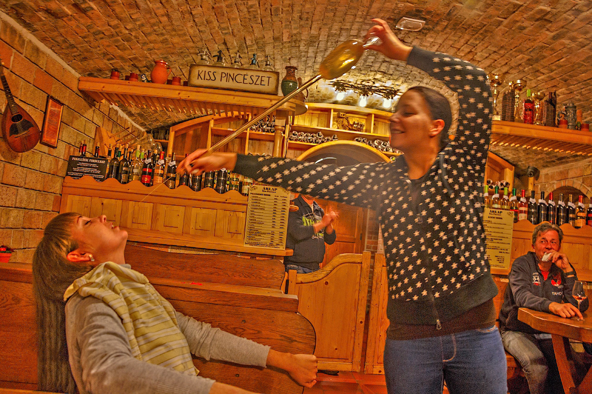 Конкурс на дегустации вин