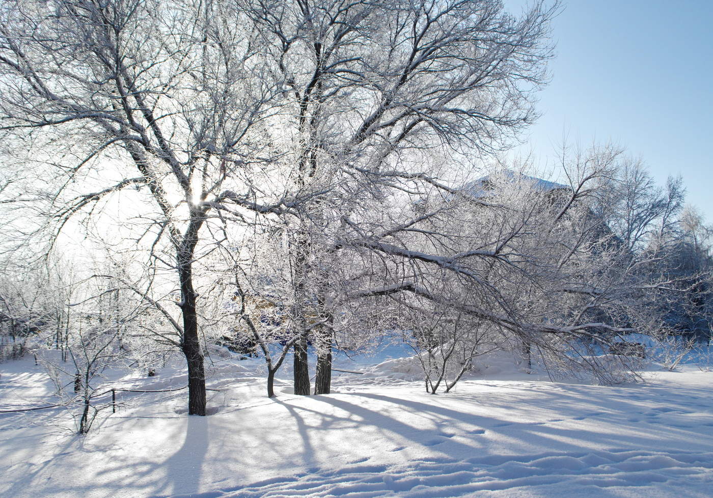 мороз и солнце