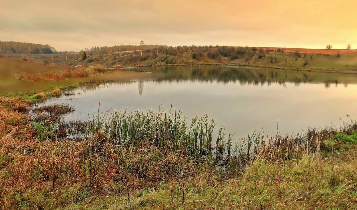 Утро на озере