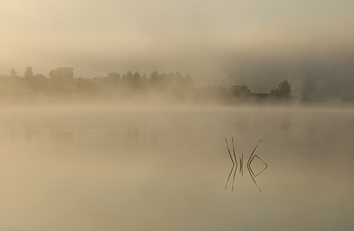 Туманы Архангельского
