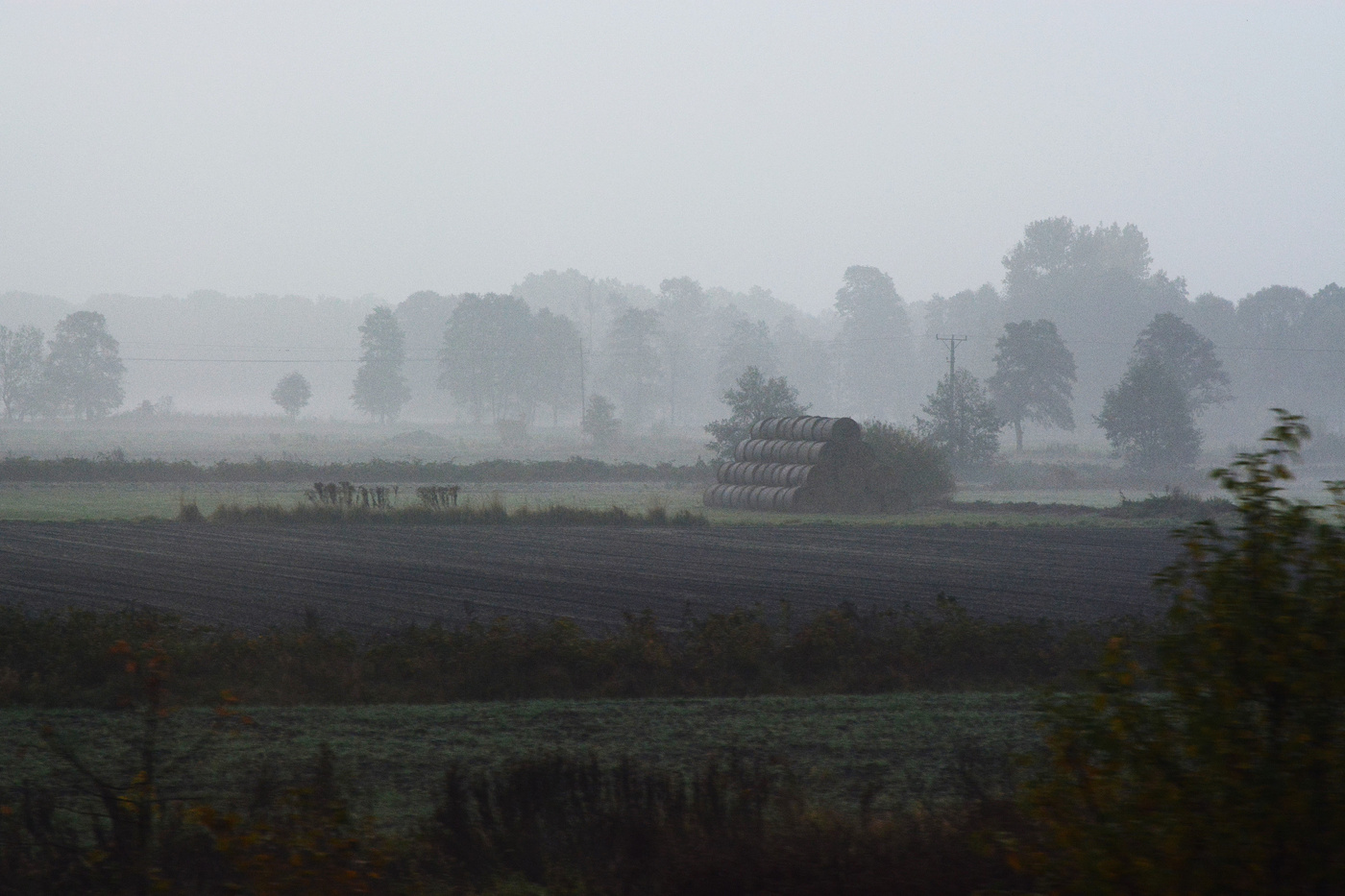 Раннее утро в деревне ...