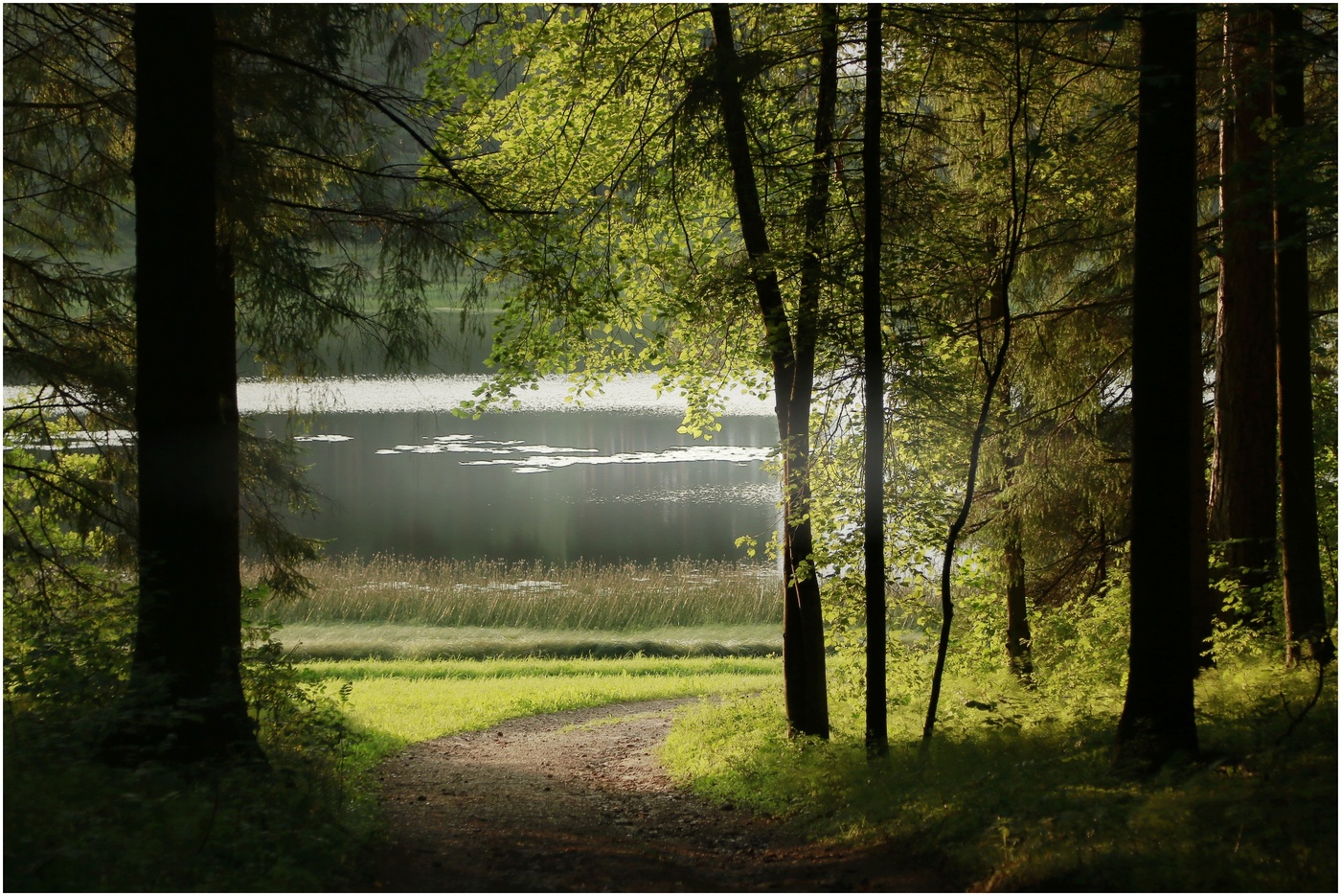 Михайловское 1