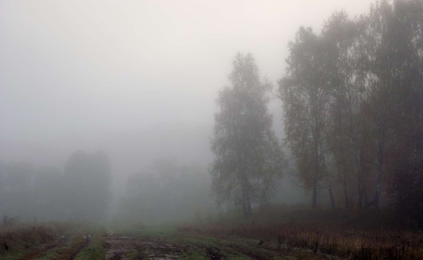 Туманными дорогами Октября