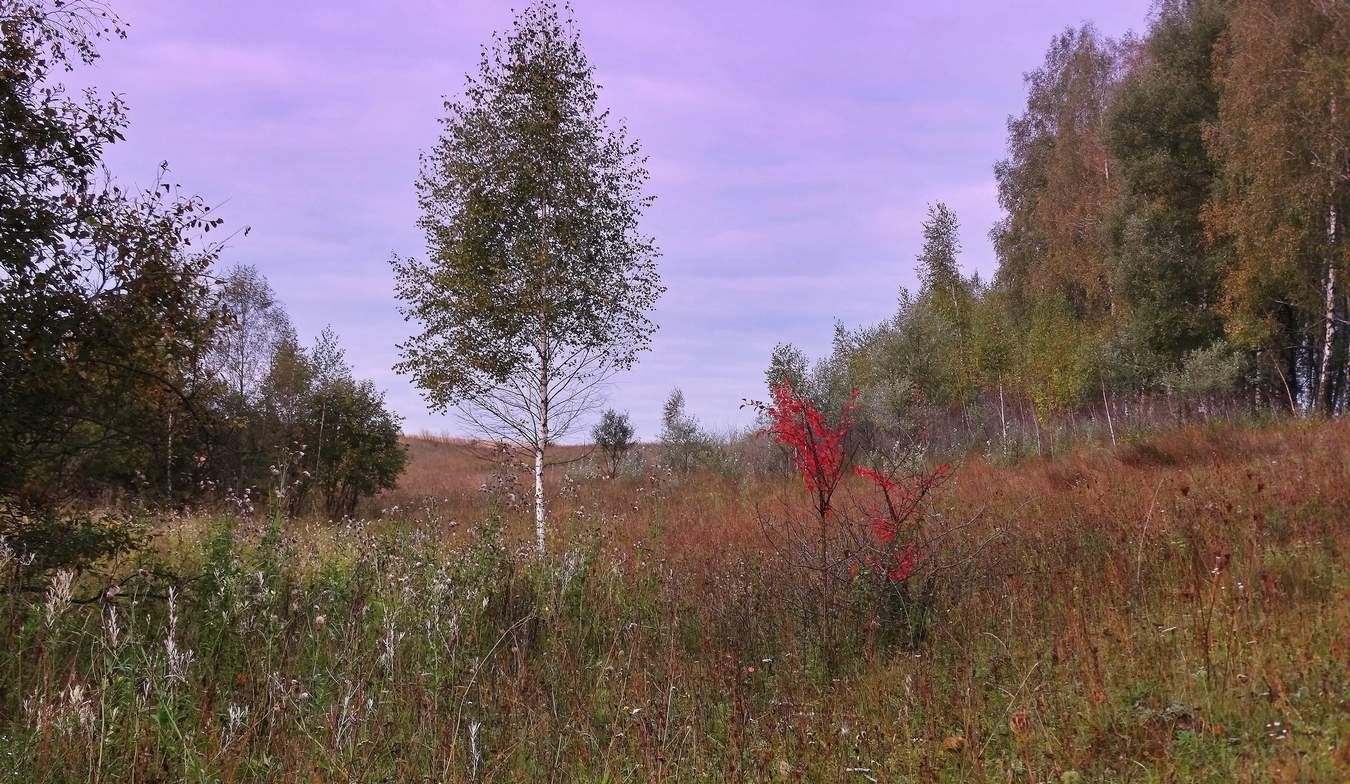 Утро в сентябре