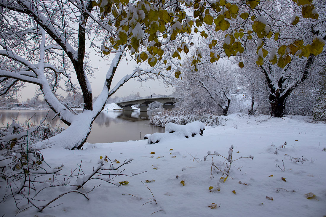 Белым по желтому