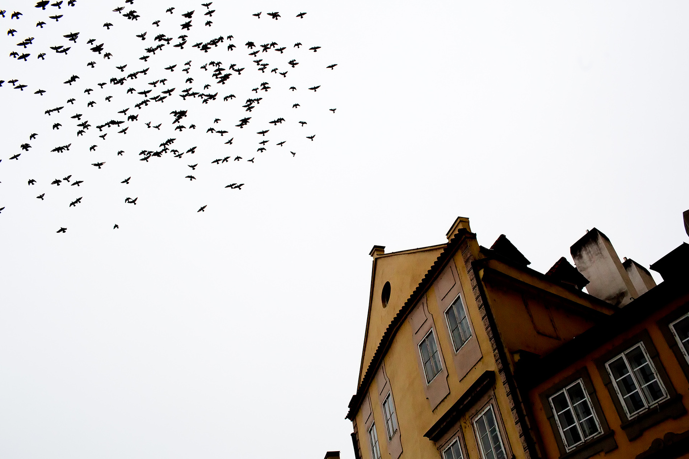 полный улёт