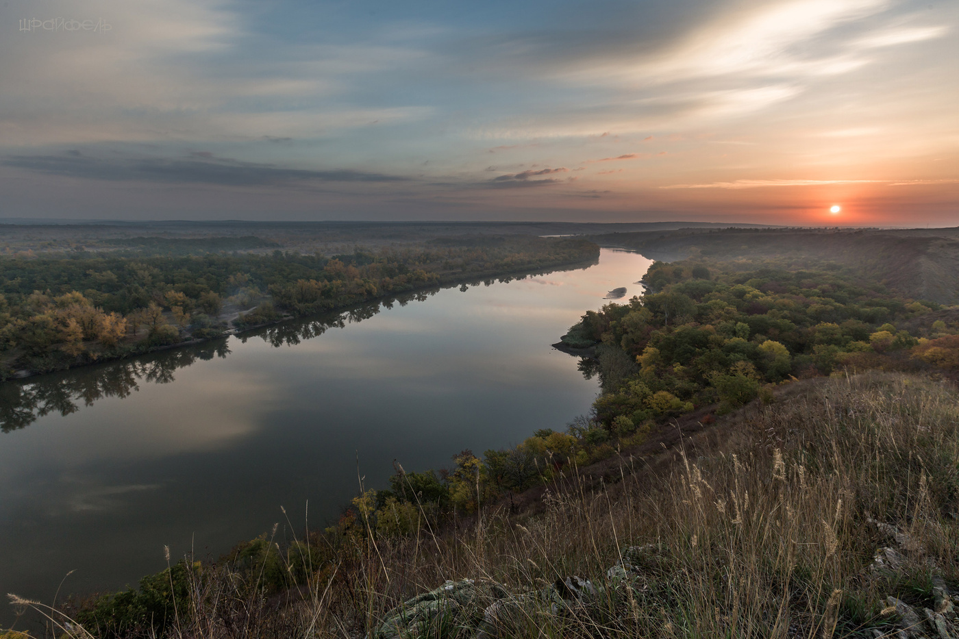 Орлинка дивная