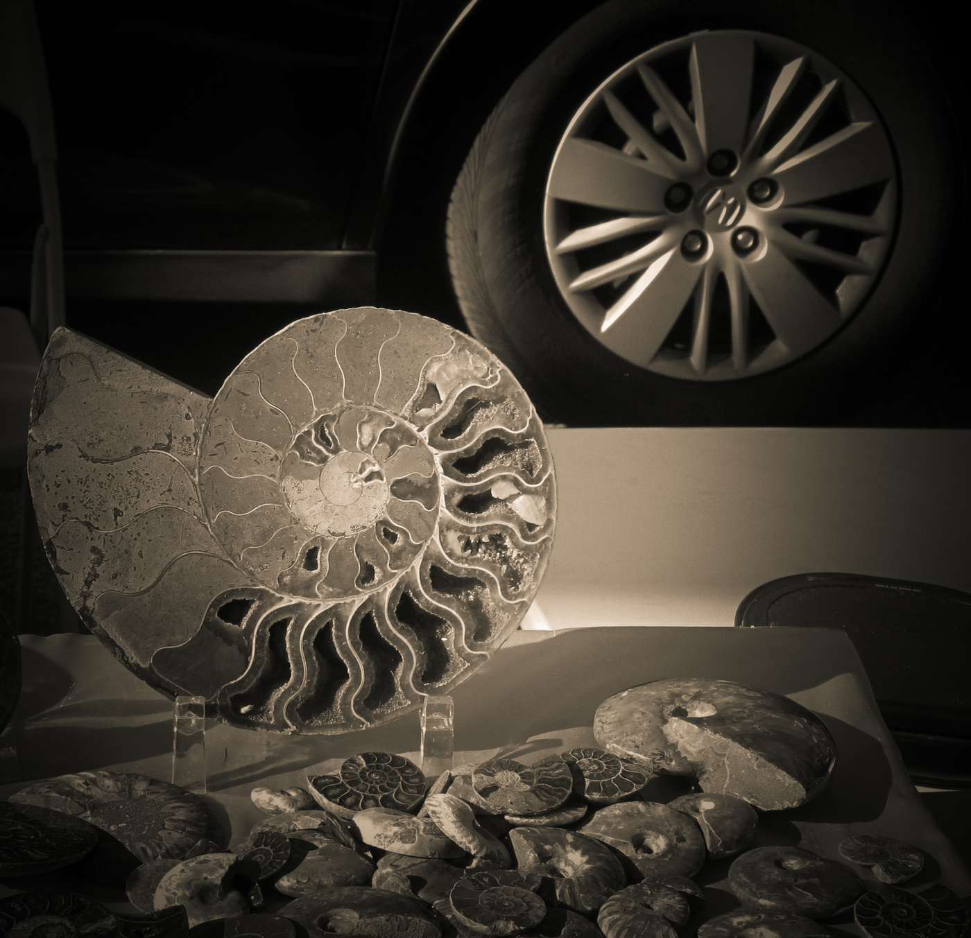 Случайные совпадения...